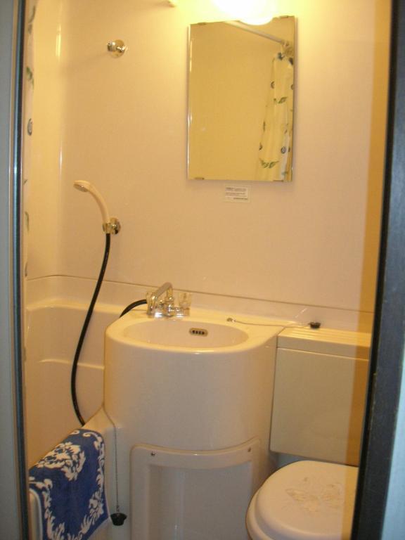 Hotel Weisser Hof Happei Hakuba Kamer foto